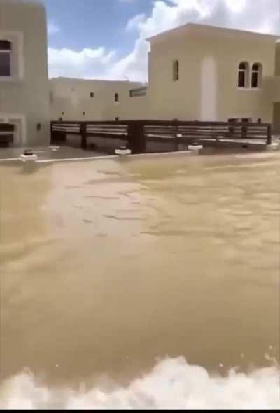 Since the day I was born, I've never seen a sight like this