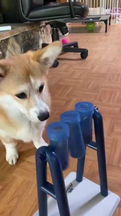 Maple’s progress with the mad scientist toy!