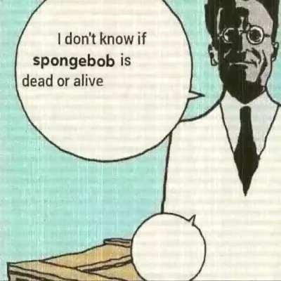 Schrödinger's Sponge