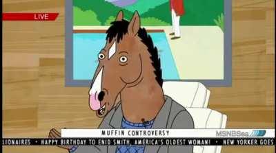 I always loved this scene because BoJack and I have the same view on troops (granted mine is a bit more negative but still)