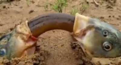 WTF! Is Going On Here?!