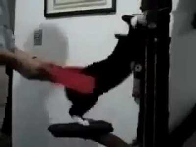 Catbongo 🐈🐾🐾🎉⭐️✨