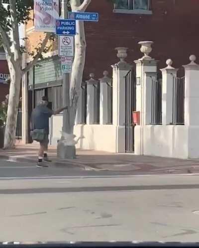 Don't mind me and my goose.