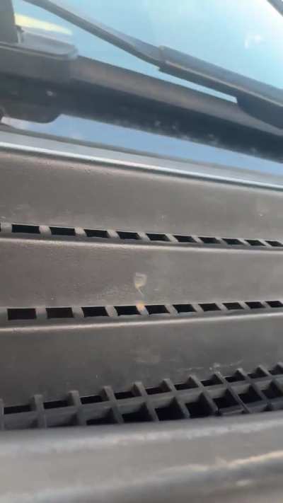 Noisy injectors? Needs shims? Valves kissing the pistons?