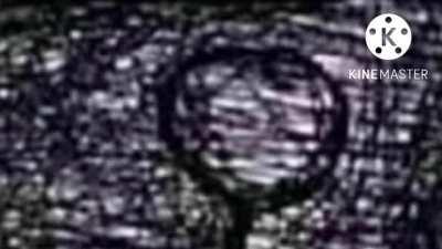 It’s the little things that brighten our day...