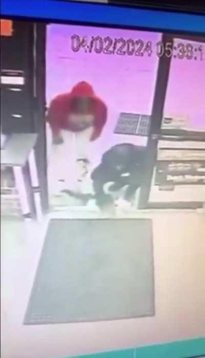 Store cat of 6 years taken from Baltimore shop