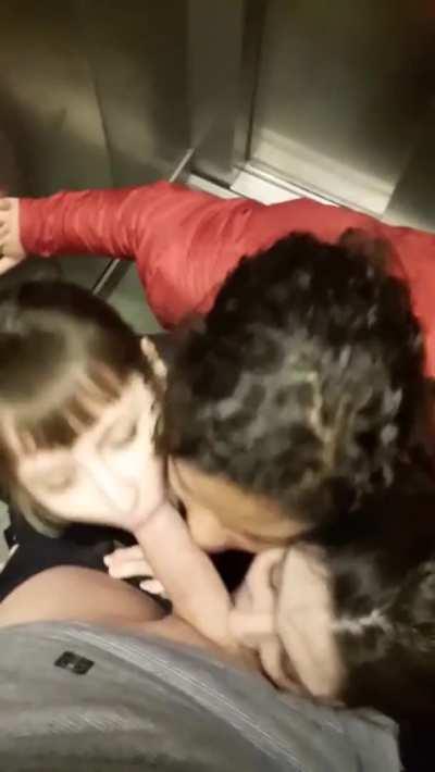 3 sluts in an elevator