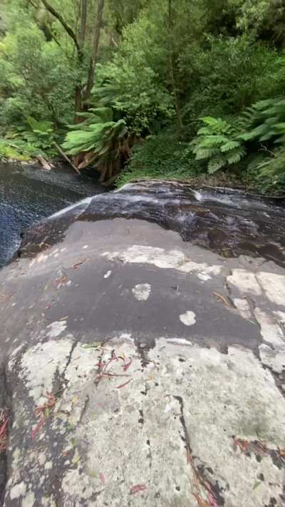 my tour guide bent me over