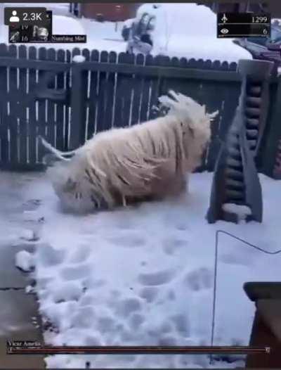 What is wrong with your mop?