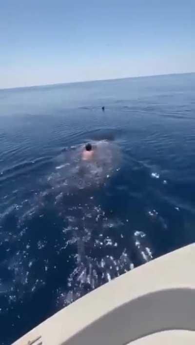 Такси подъехало