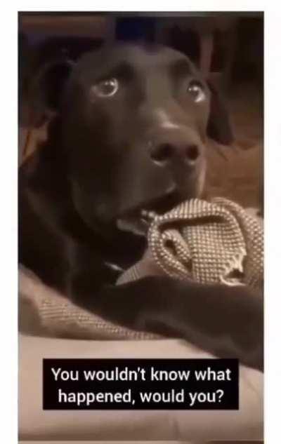 I think he knows something