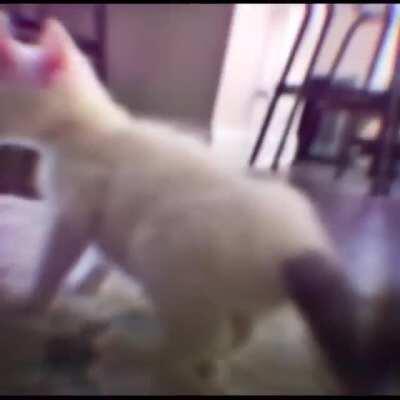 😳😳🙀 what the h*ck!???!?!