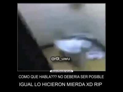 aca esta el inodoro q habla