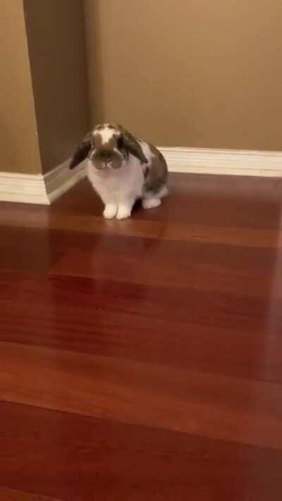 My Baby 🥰🥰🥰