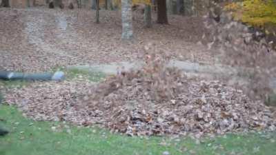 I think this fits here