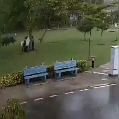 WCGR while standing outside under a tree in a thunderstorm. We've been...