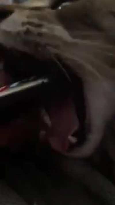 This video of Edgar my mom sent me