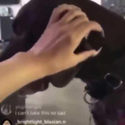 Juice WRLD dog cried when his music played :(