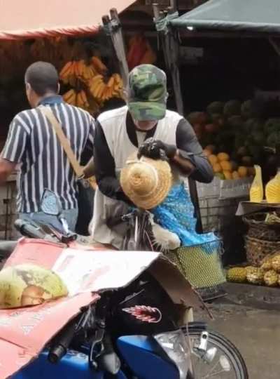 Man taking hat from innocent dog in rain...