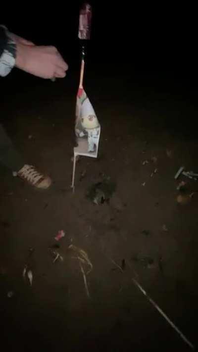 WE SENT REISEN (AND REI) BACK TO THE MOON