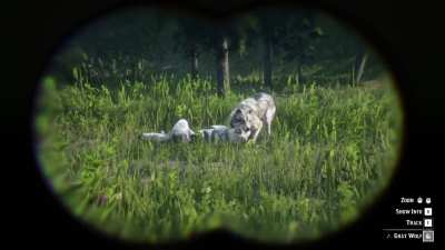 this game never fails to impress me