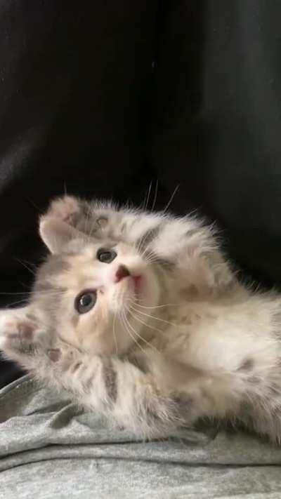 My heart melted 😭😭😭