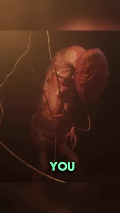 A Normal Movie Explain on YouTube 