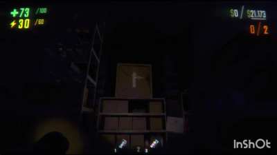 This new R.E.P.O. game….