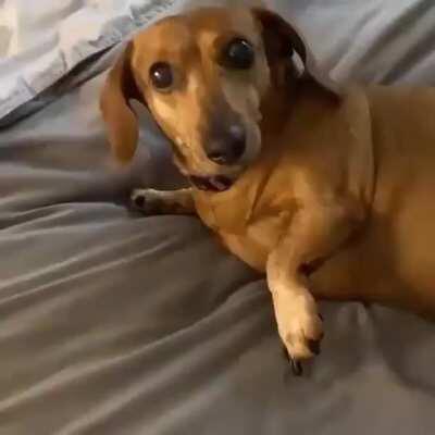 Algo para sanidade mental