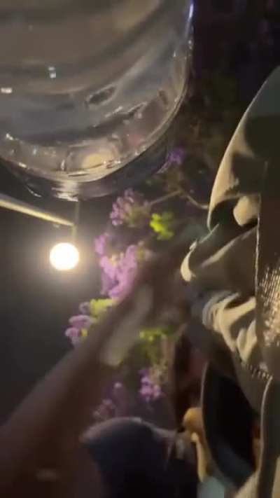 LAPD officer freaks out and shoots unarmed woman trying to go home point blank with a 40mm