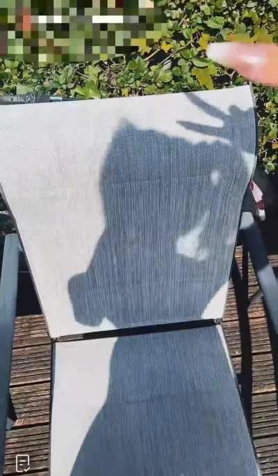 POV : you’re spending your weekend watching her shadow 🥵