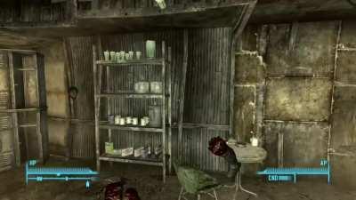 [Fallout 3] I don’t even know how to describe this.