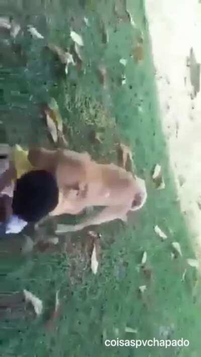 Eu te amo Caramelo ❤️