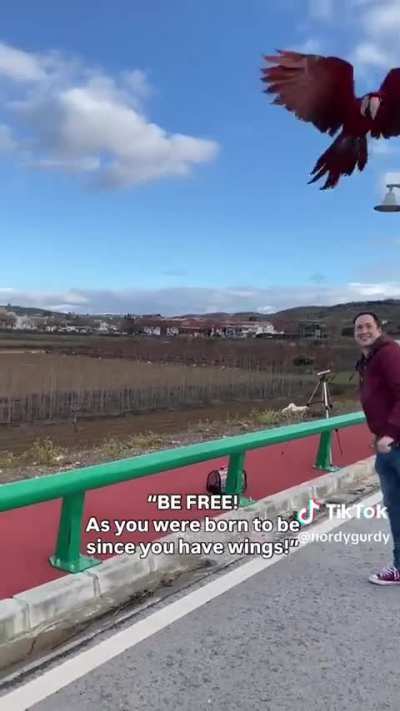 Why do they always use the same damn song?