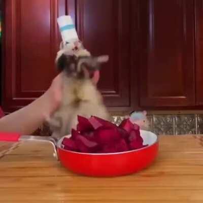 The opposite of ratatouille