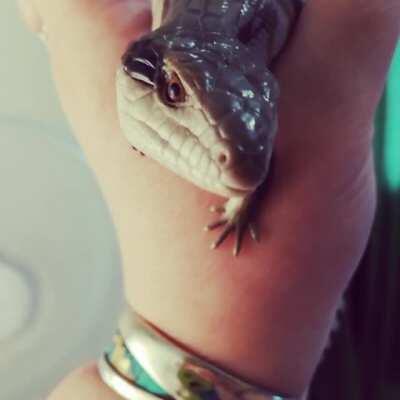 Little Weenie giving the Melms!