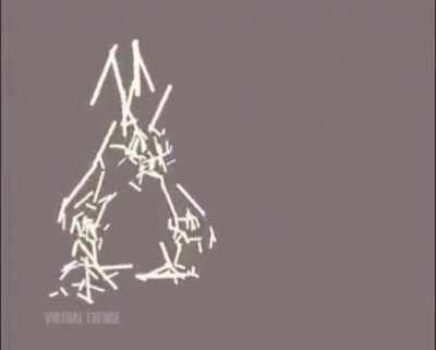 the chungus behind the slaughter