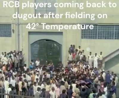 Faf decided to cook his players brain out