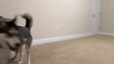 saturday training motivation!