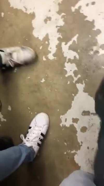 Lil nigga woke up choosing violence