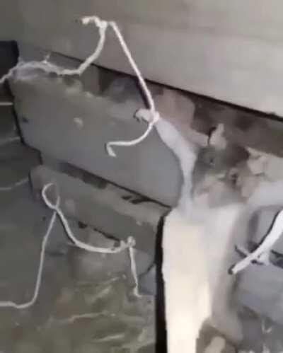 Donde ta la marihuana