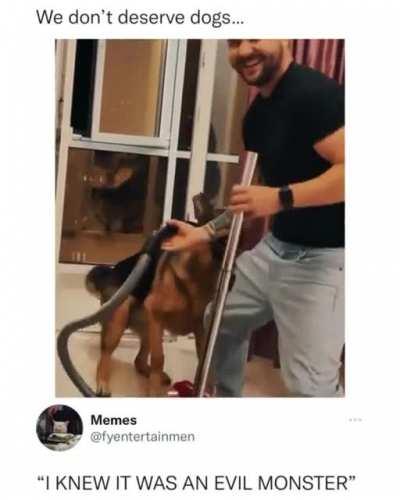 So happy this good dog was around to save the day