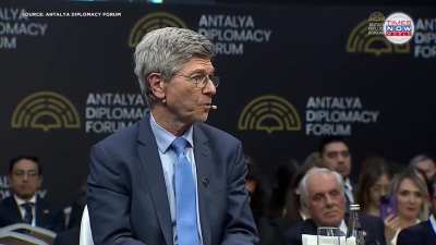 Mickey Mouse Economics