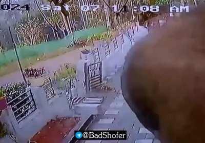 angry elephant breaks into house