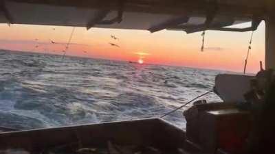 [Poetry]Dno but I like it