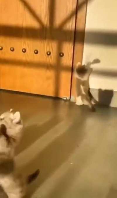 One is always different...