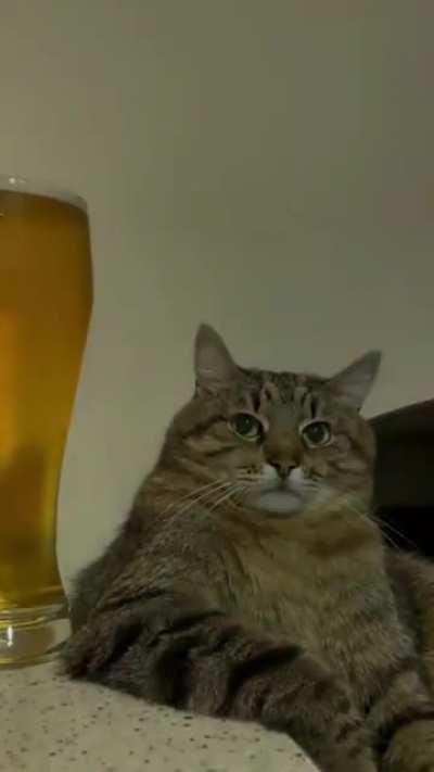 Me an introvert at basically every party