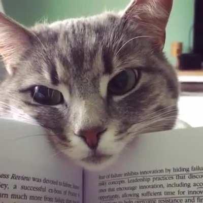 А что вы читаете?