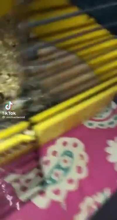 I Still See Your Shadows