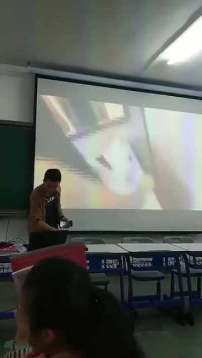 Палево палевное